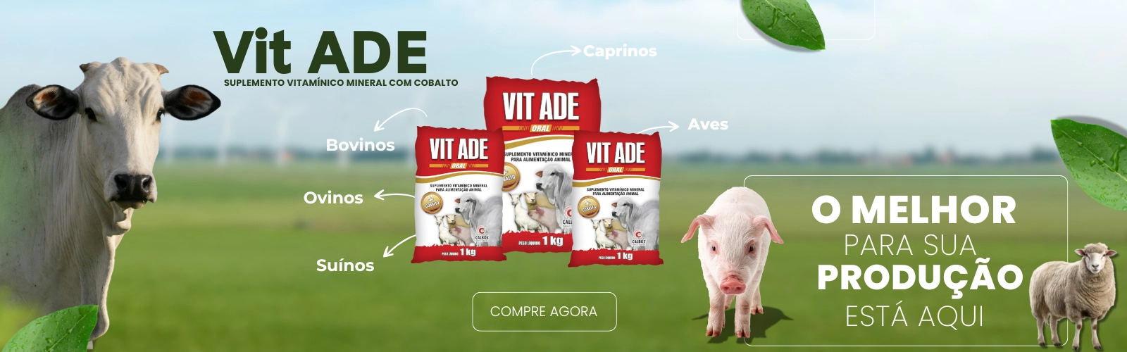 Vit ADE